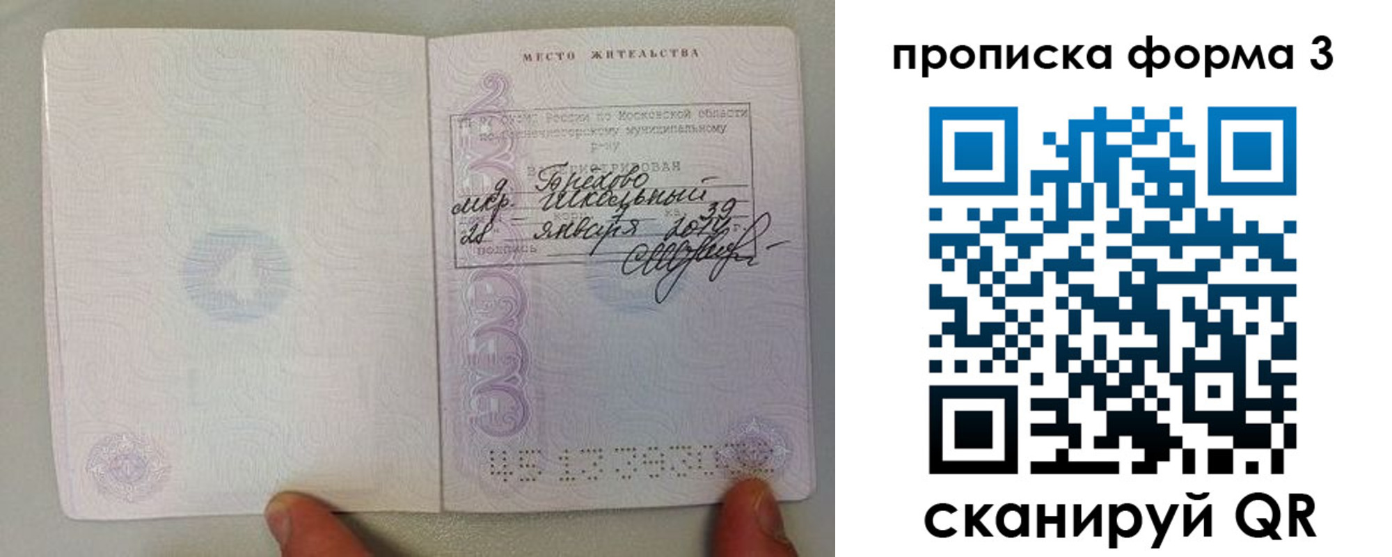 прописка гарантия в России
